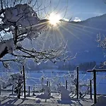 Enzianbrenner יאניג