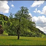 Enzianbrenner יאניג