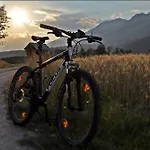 Enzianbrenner יאניג