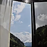 Enzianbrenner יאניג