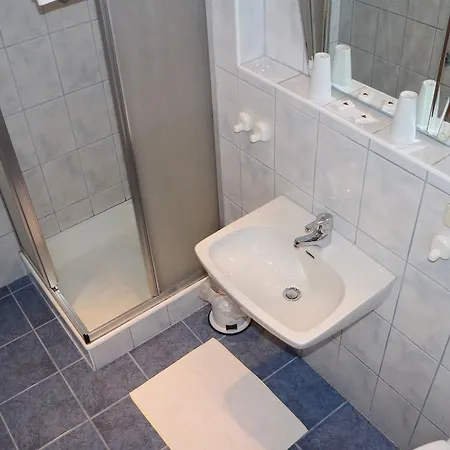 إنزيانبرينر ينغ