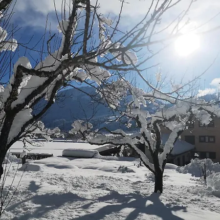 Enzianbrenner Guest house 3*