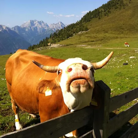 恩兹安布雷那酒店 3* Jenig