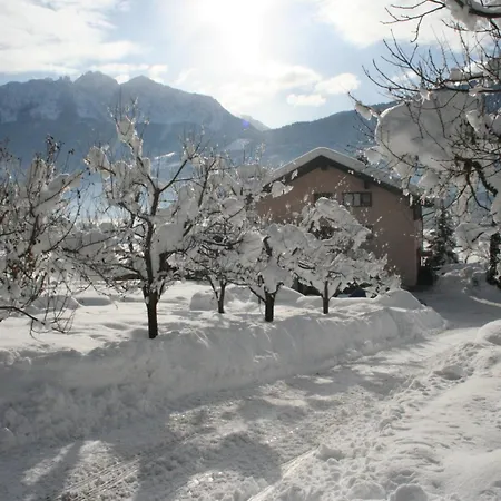 Enzianbrenner יאניג