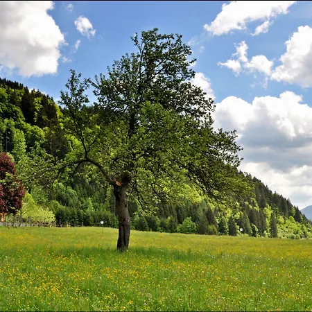 Enzianbrenner 3*