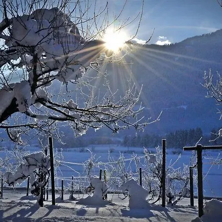 Enzianbrenner Jenig