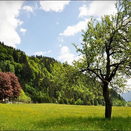 Pensionat Enzianbrenner Jenig