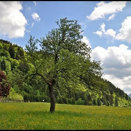 恩兹安布雷那酒店 Jenig