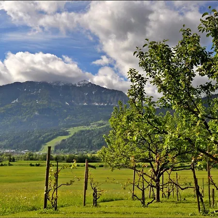 Enzianbrenner Pensionat 3*
