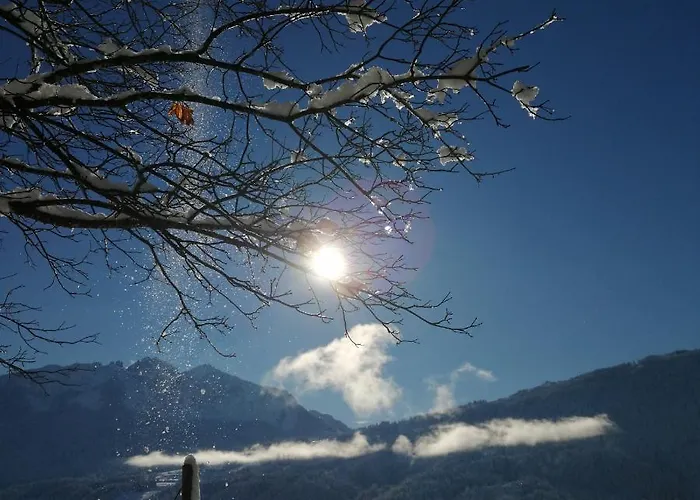 Pensjonat Enzianbrenner