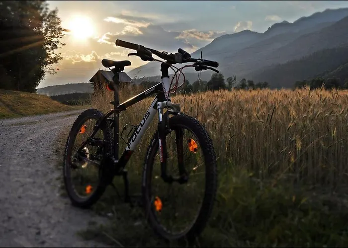 Enzianbrenner 제니그