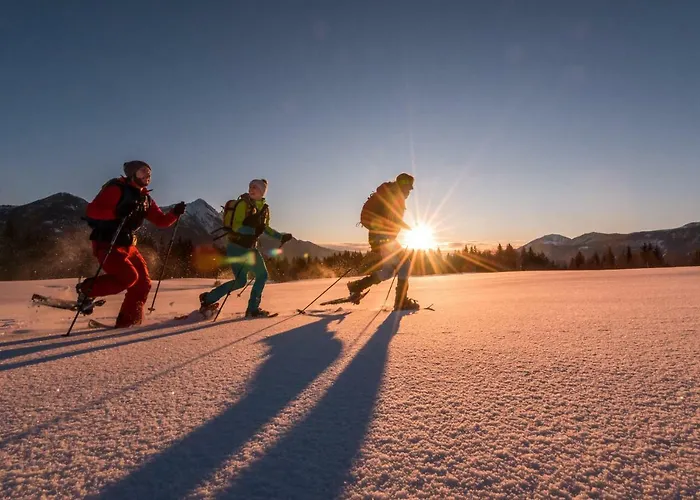 Enzianbrenner 3* Jenig